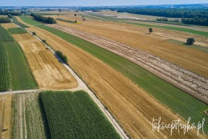 Bele dron 2020 1 10