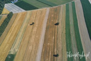 Bele dron 2020 1 13
