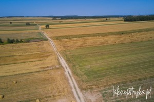 Bele dron 2020 1 20